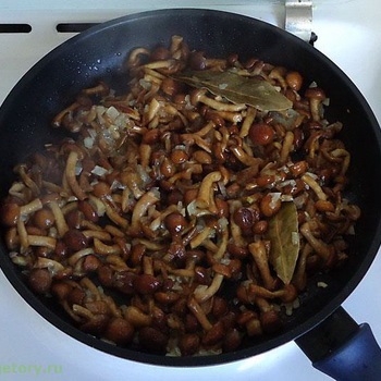 Як готувати свіжі осінні опеньки для смаження відео, як правильно обробити гриби