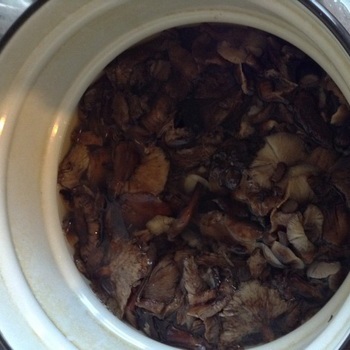 Як готувати свіжі осінні опеньки для смаження відео, як правильно обробити гриби