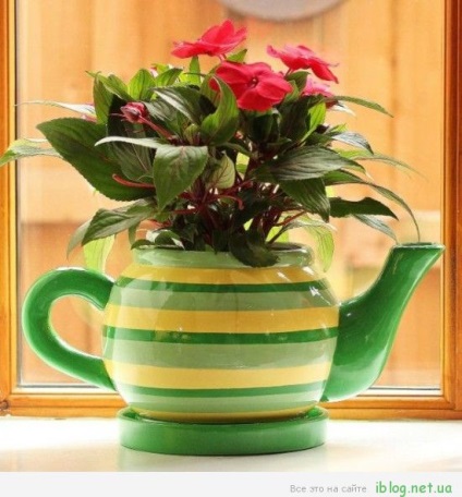 Як зробити квітковий горщик з чайника, зручні штучки