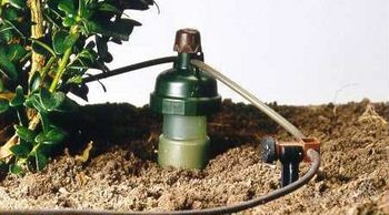 Автономні системи для крапельного поливу конопель blumat - вирощування конопель в домашніх умовах