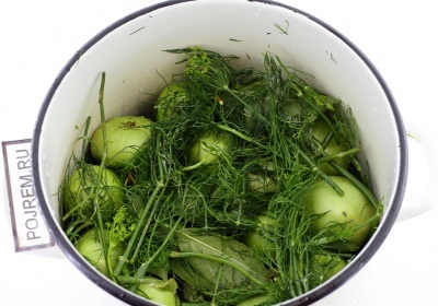 Квашені зелені помідори - покроковий рецепт з фото як приготувати