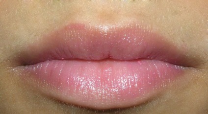 Знайомство з блиском для губ ffleur - chic lipgloss pallet - # 3 відгуки