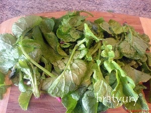 Бадилля редиски в салаті рецепт з фотографіями