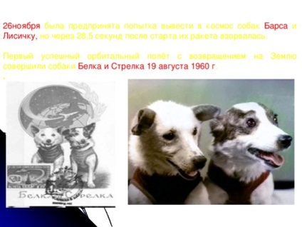 Презентація на тему - тварини в космосі - початкові класи, презентації