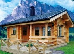 Perspectivele caselor din lemn