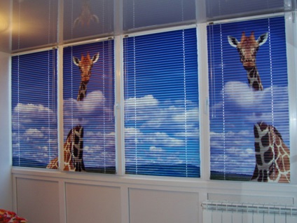 Фото жалюзі на вікнах, особливо рулонних пластикових штор на вікна, варіанти штор, особливості
