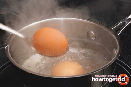 Як правильно варити яйця корисні поради