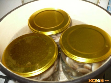 Мариновані опеньки - рецепт з фото приготування грибів