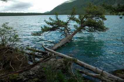 Озеро бірюзове (відпочинок та рибалка)