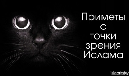 Чорна кішка - попередження про майбутню біді