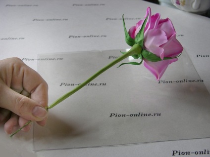 Фоаміран майстер клас по створенню вінка з троянд