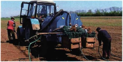 Механізація посадки плодових дерев, agrocounsel