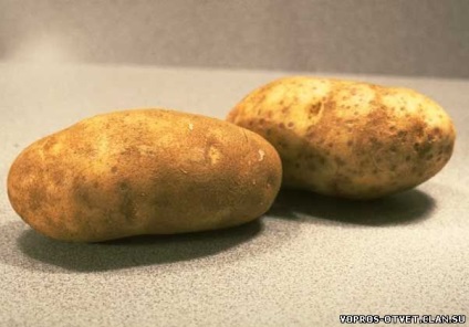 Чому картопля змінила колір здоров'я - краса і здоров'я - каталог статей - питання відповіді