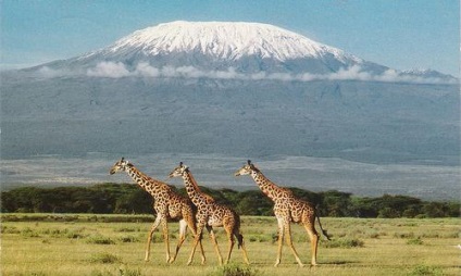 Топ 10 кращих місць для сафарі в Африці, подорожі по всьому світу