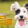 Ветеринарна інструкція мастометріна для собак