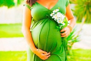 Лікарські трави чи можна пити при вагітності ромашку без шкоди для плода