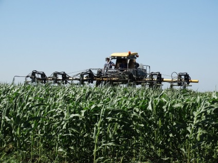 Технології «Монсанто» допомагають вирощувати високоврожайні насіння кукурудзи, прес-релізи на рбк