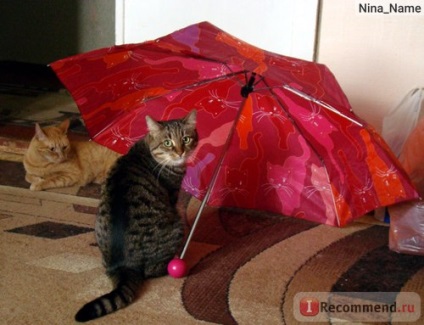Парасолька oriflame «кішки» (28799) - «цей яскравий парасоль обов'язково підніме настрій в погану