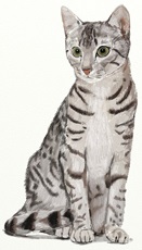 Як намалювати рудого кота поетапно - як намалювати рудого кота покроково lessdraw