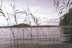 Озеро пісочне (піщане), Міасскій міської округ челябінської області