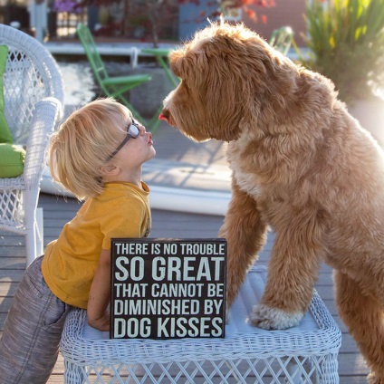 Серцева дружба між хлопчиком і собакою