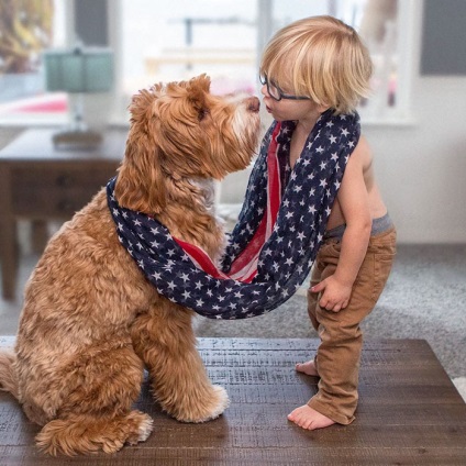 Серцева дружба між хлопчиком і собакою