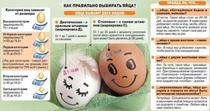 Склад курячого яйця, харчова цінність, шкідливі властивості курячих яєць, маркування і вибір курячих