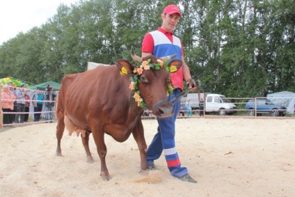 День гірчиці і конкурс краси серед корів