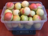 Як зробити яблучну пастилу в домашніх умовах