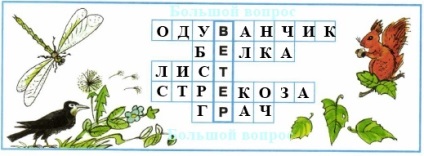 Яку роль відіграють дощ і вітер в житті рослин і тварин