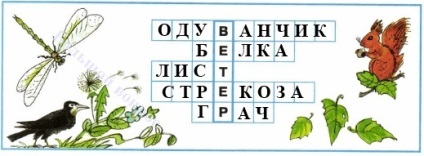 Яку роль відіграють дощ і вітер в житті рослин і тварин