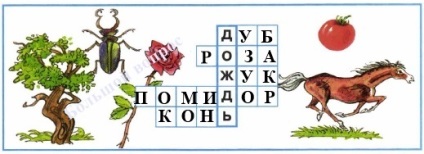 Яку роль відіграють дощ і вітер в житті рослин і тварин