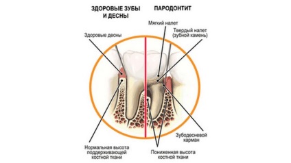 M-dental - стоматологічна поліклініка, дитяча стоматологія, комп'ютерна томографія, кт лор