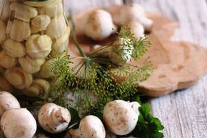 Салат з консервованими печерицями - смачні і прості рецепти, грибний сайт