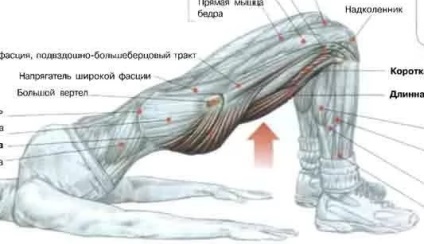 Болить шлунок лежачи на спині - особливо в положенні лежачи