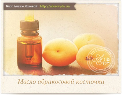 Застосування абрикосового масла для шкіри і волосся - рецепти і поради