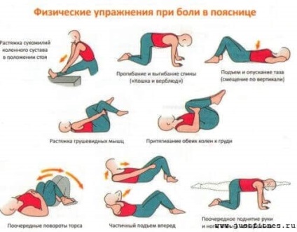 Вправи для попереку при болях в спині