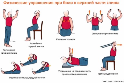 Вправи для попереку при болях в спині