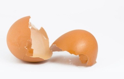 9 Відмінних ідей використання яєчної шкаралупи!