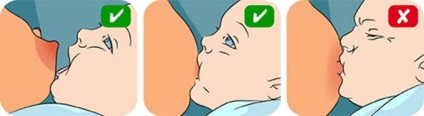 Дитина кусає під час годування грудьми, що робити, поради Комаровського