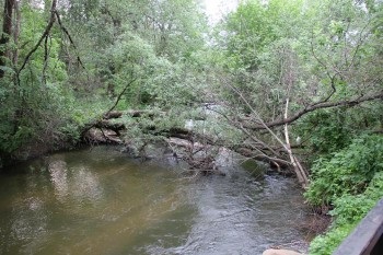 Природний парк долина річки сходні в Куркино в москва - як дістатися