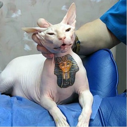 Татуювання для домашніх тварин