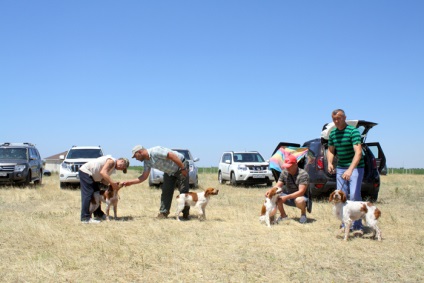 Південний риболовно-мисливський клуб перегляд теми - севастопольська виставка мисливських собак