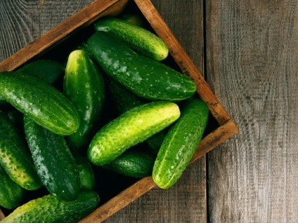 9 ok, hogy többet eszik uborka