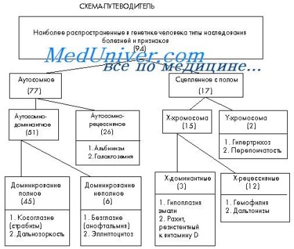 Autoszomális domináns öröklődés