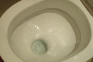 WC csésze tisztító, hogyan kell kiválasztani, és a saját kezét (fotó)