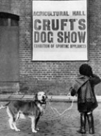 Crufts - a legrangosabb kiállítása a világon
