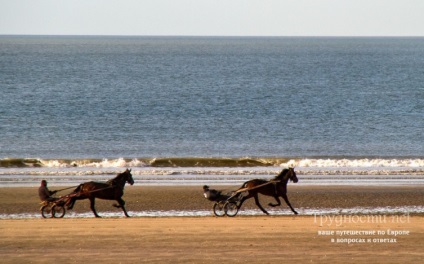 Deauville (Franciaország), látnivalók, fotók, hogyan lehet eljutni cikkek