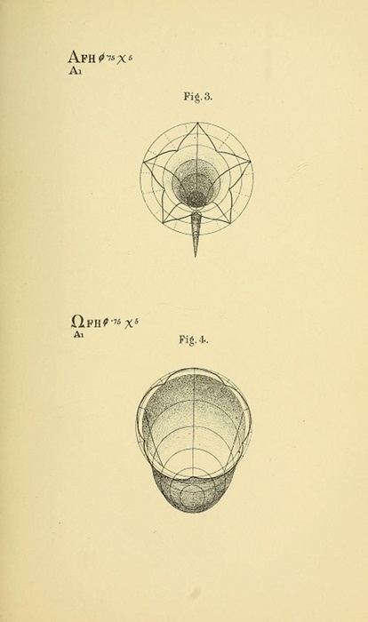 Geometry pszichológiai - Benjamin Betts (geometria pszichológiai) Geometry pszichológia - Benjamin Betts