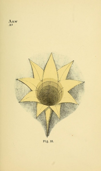 Geometry pszichológiai - Benjamin Betts (geometria) Geometry pszichológia - Benjamin Betts